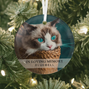 Simple In Loving Memory Pet Cat Photo Keepsake  Glass Tree Decoration
