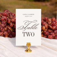 Simple Ivory and Espresso Brown Wedding