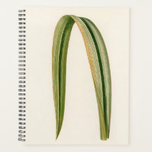 Simple Leaf Botanic Mum Dad