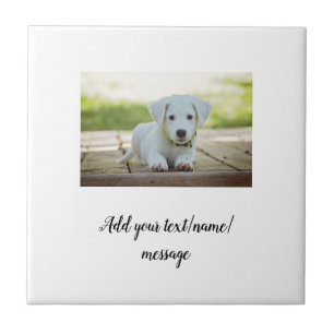 simple minimal add your pet photo name collage tile