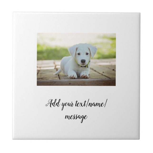 simple minimal add your pet photo name collage   tile (Front)