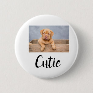 simple minimal add your pet photo name custom 6 cm round badge
