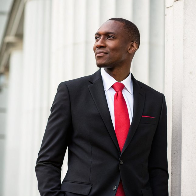 Simple Minimal Formal Red Professional Corporate Tie (Creator Uploaded)