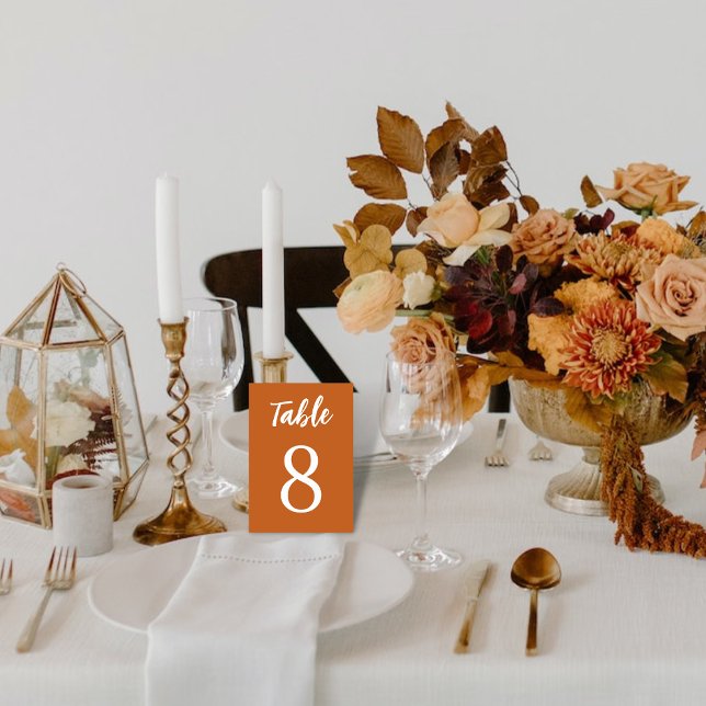 Simple Minimalist Boho Terracota White Wedding Table Number (Creator Uploaded)