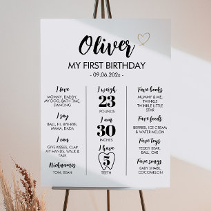 Simple Modern 1st Birthday Milestone Sign
