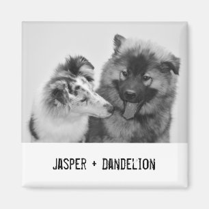 Simple, Modern Custom Pet or People Photo Magnet