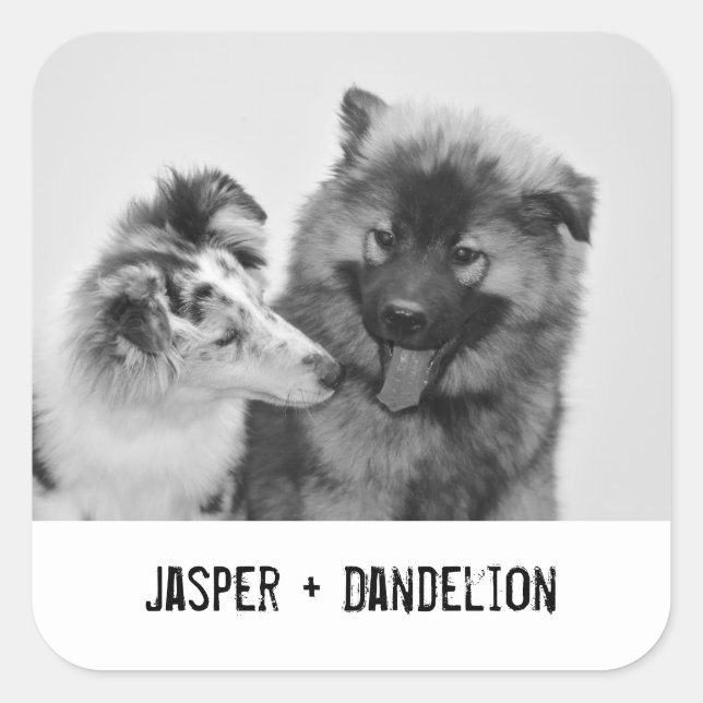 Simple, Modern Custom Pet or People Photo Square Sticker (Front)