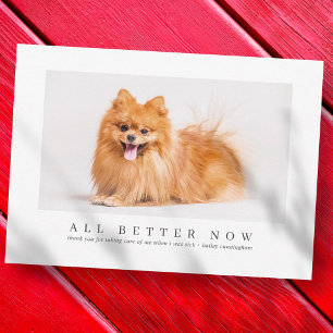 Simple Modern Custom Pet Photo Thanks Veterinarian Thank You Card