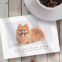 Simple Modern Custom Pet Photo Thanks Veterinarian