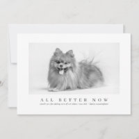 Simple Modern Custom Pet Photo Thanks Veterinarian