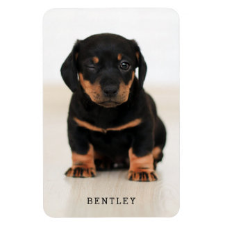 Simple Modern Full Photo Dog Pet | Black Magnet
