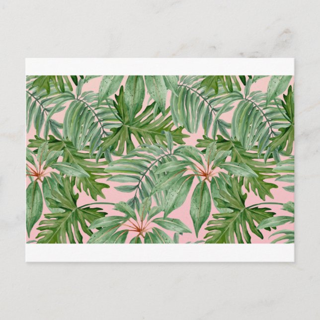 Simple Modern Pink Palm Leaf Tropical Floral  Postcard (Front)