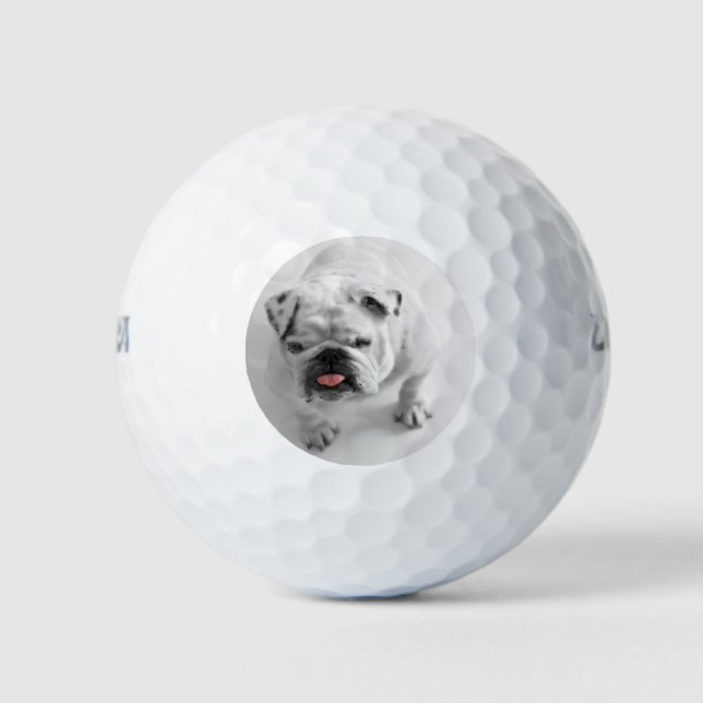 Simple Modern Your Dog Photo Marker Golf Balls (Front)