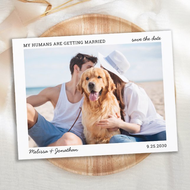 Simple My Humans Getting Married Pet Wedding Photo Announcement Postcard (Creator Uploaded)