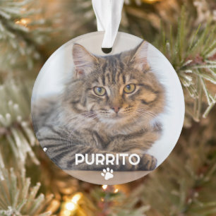 Simple One Photo Pet Name Paw Print Memorial Ornament