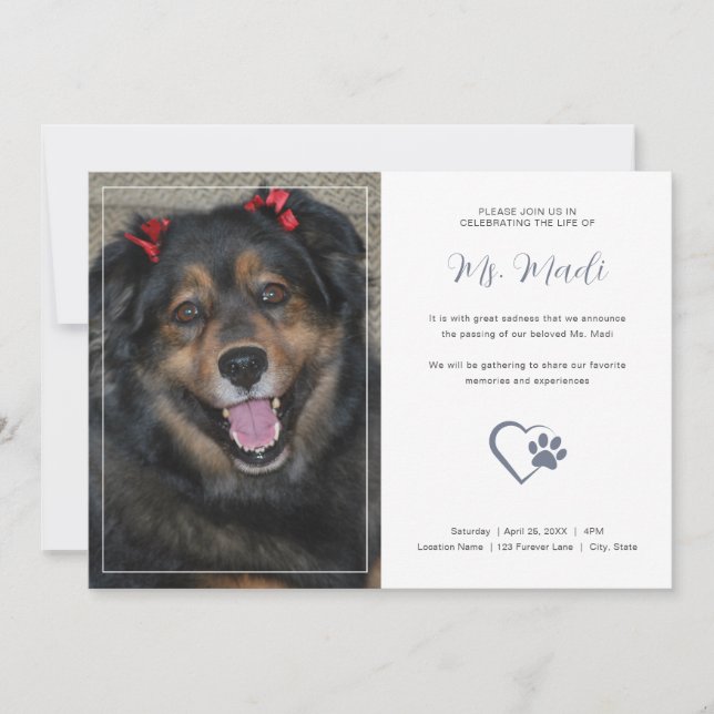 Simple Pet Memorial Photo Celebration Invitation (Front)