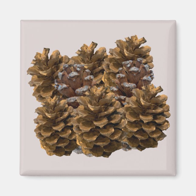 Simple Pinecones Magnet (Front)