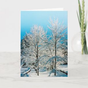 Simple Pleasures of the Season: Walden Pond Holiday Card