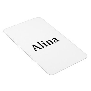 Simple Professional Business 4"x6" Flexible Photo Magnet
