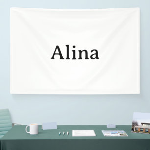 Simple Professional Business 4' x 6' Indoor Banner