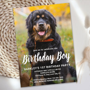 Simple Puppy Dog Birthday Party Custom Pet Photo Invitation
