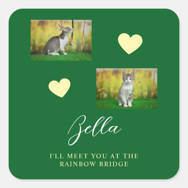 Simple Rainbow Bridge Cat Memorial Square Sticker (Front)