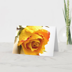Simple Rose Card