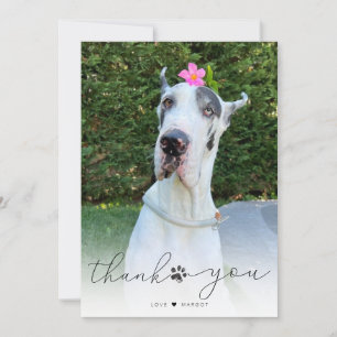 Simple Script Pet Memorial Photo Thank You Card