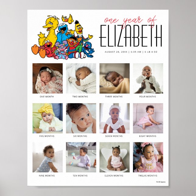 Simple Sesame Street One Year of 12 Months Poster (Front)