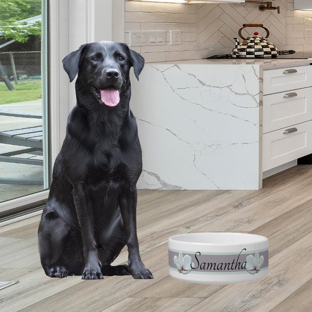 Simple Soft Toned Feminine Pet Bowl with Magnolias (Creator Uploaded)