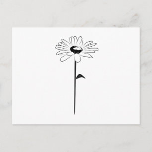 Simple Spring Daisy Postcard