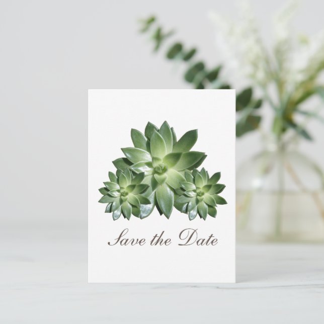 Simple Succulent Save the Date Invite (Standing Front)