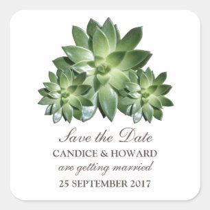 Simple Succulent Save the Date Stickers