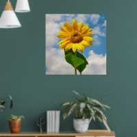 Simple Sunflower Floral Botanical Photography Canv