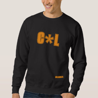 simple sweatshirt with beautiful print