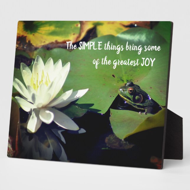 Simple Things Frog Inspirational Quote Plaque (Side)