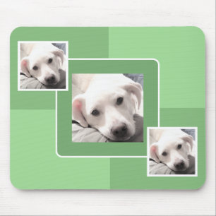 Simple Three Photo Modern Square Design Light Gree Mouse Pad