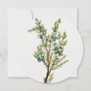 Simple Vintage Botanical Mountain Juniper Invitation