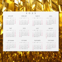 Simple White 2025 Yearly Full Year Calendar Magnet