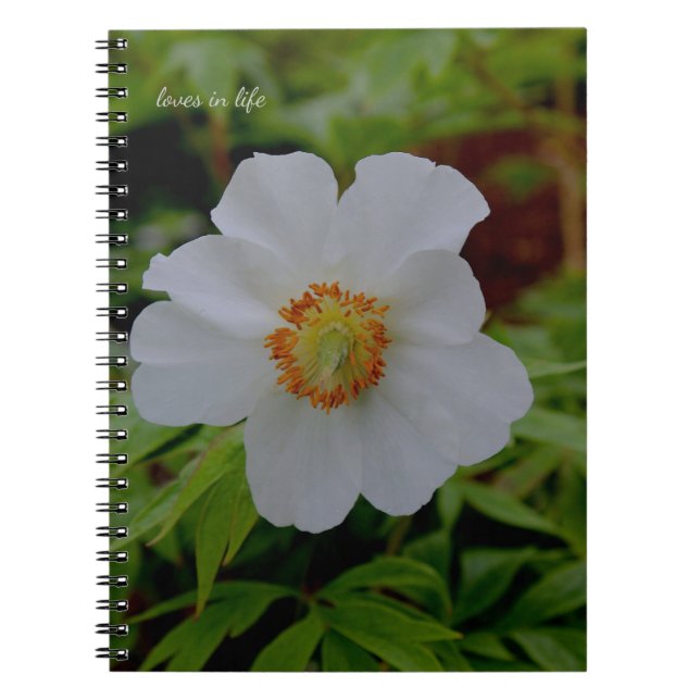 Simple White Peony Flower Notebook (Front)