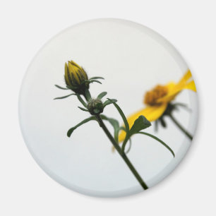 Simple Yellow Flowers Round Magnet