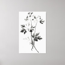 Simplistic Cilantro Leaves Line Drawing