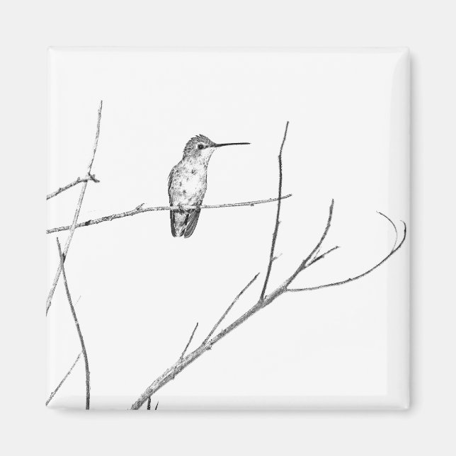 Simply a hummingbird on a stick magnet (Front)