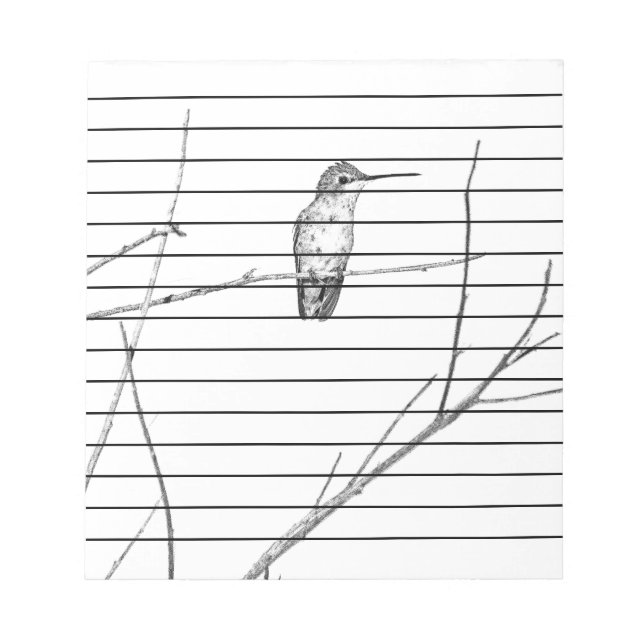 Simply a Hummingbird on a stick Notepad (Front)