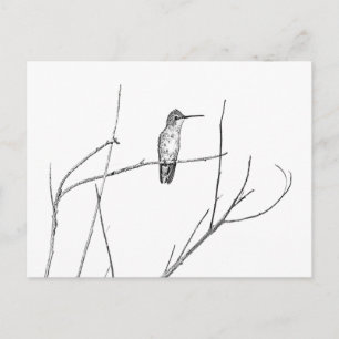 Simply a Hummingbird on a stick Postcard