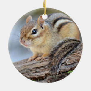 Simply Adorable Little Chipmunk Ceramic Tree Decoration