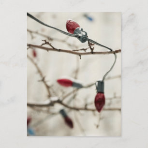 Simply Christmas Cards and Stickers