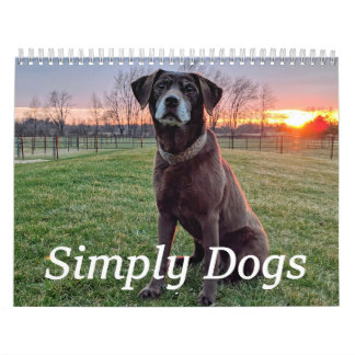 Simply Dogs calendar