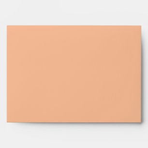 Simply Elegant Fuzzy Peach  Envelope