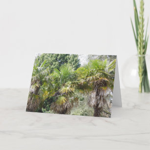 Simply Scenic Birthday card